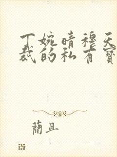 丁婉晴穆天阳总裁的私有宝贝
