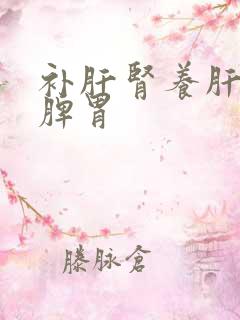 补肝肾养肝血健脾胃