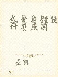 感觉身体发热是什么原因