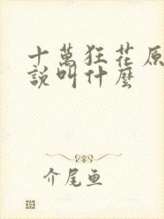 十万狂花原著小说叫什么 十万狂花原著小说叫什么