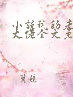 小说我的老公是大佬全文免费阅读