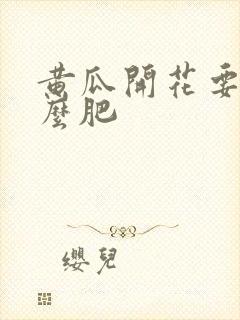 黄瓜开花要施什么肥