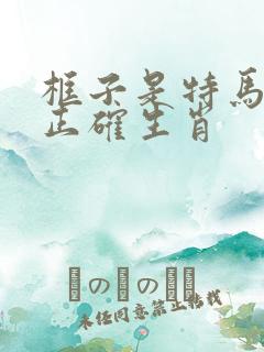 框子是特马打一正确生肖