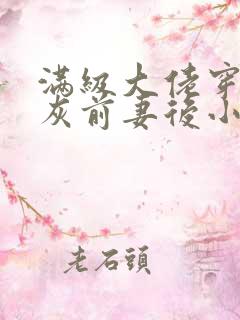 满级大佬穿成炮灰前妻后小说电子版txt