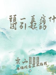 头一直痛什么原因引起的