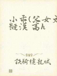 小乖(父女文 糙汉 高h