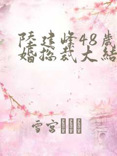 陆建峰48岁闪婚总裁大结局 陆建峰48岁闪婚总裁大结局