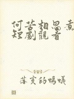 何苦相思煮余年短剧观看