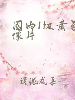 国内1级黄色录像片