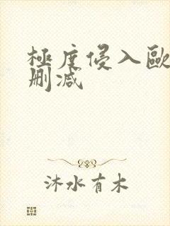 极度侵入欧美未删减