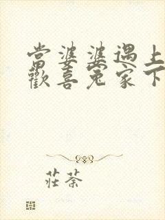 当婆婆遇上妈之欢喜冤家下载