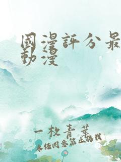 国漫评分最高的动漫 国漫评分最高的动漫