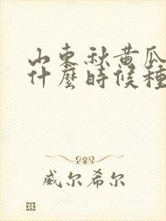 山东秋黄瓜最晚什么时候种