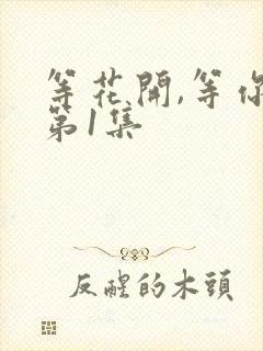 等花开,等你归第1集