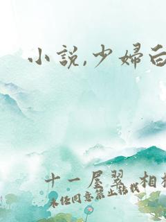 小说,少妇白洁