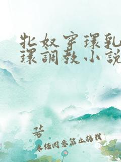 牝奴穿环乳环蒂环调教小说