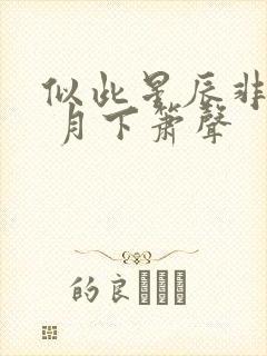 似此星辰非昨夜 月下箫声
