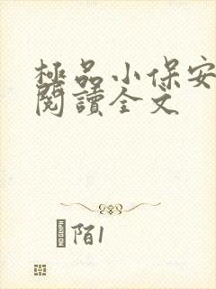 极品小保安免费阅读全文