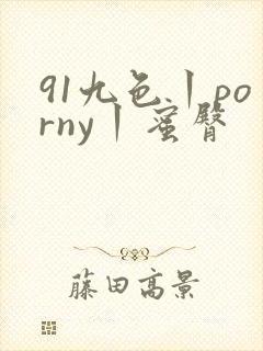 91九色丨porny丨蜜臀 91九色丨porny丨蜜臀