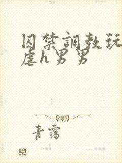 囚禁调教玩物凌虐h男男