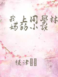 我上同学林虎妈妈的小说