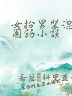女扮男装混进男团的小说