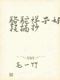 骆驼祥子好句好段摘抄