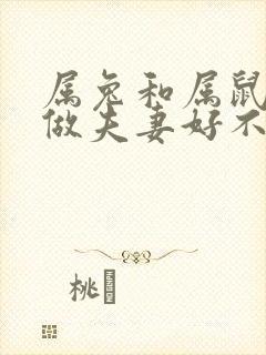属兔和属鼠相配做夫妻好不好