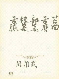 舌根部舌苔厚白腻是怎么回事
