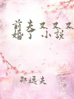 前夫又又又想复婚了 小说