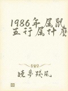 1986年属鼠五行属什么命