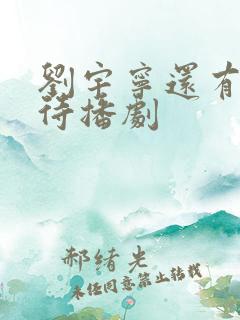 刘宇宁还有四部待播剧