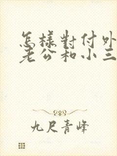 怎样对付外遇的老公和小三