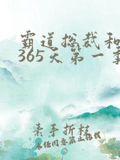 霸道总裁和我的365天第一季