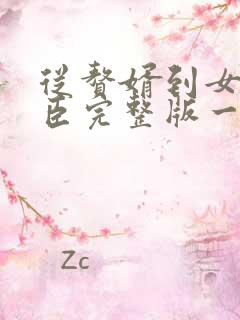 从赘婿到女帝宠臣完整版一共多少章