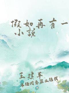 假如再有一个你 小说