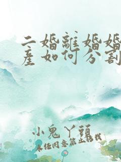 二婚离婚婚前财产如何分割新婚姻法
