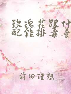 玫瑰花跟什么搭配能排毒养颜减肥