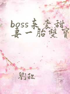 boss来袭甜妻一胎双宝