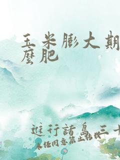 玉米膨大期施什么肥 玉米膨大期施什么肥