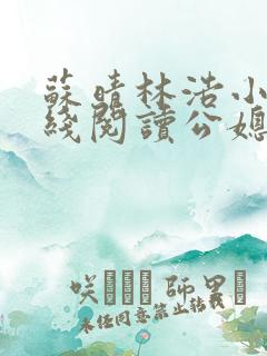 苏晴林浩小说在线阅读公媳乱了小说阅读网