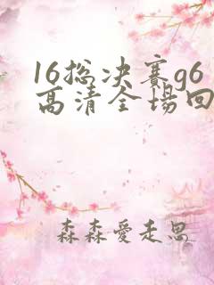 16总决赛g6高清全场回放