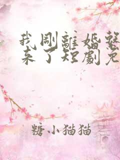我刚离婚系统就来了短剧免费 我刚离婚系统就来了短剧免费