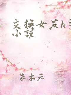 交换女友h系列小说