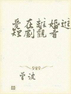 爱在离婚进行时短剧观看