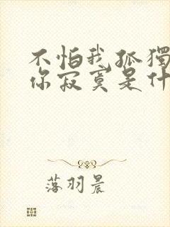 不怕我孤独只怕你寂寞是什么歌 不怕我孤独只怕你寂寞是什么歌