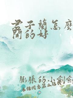 君子兰怎么养花开的好