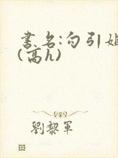 书名:勾引姐夫(高h)