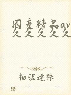 国产精品av久久久久久久