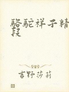 骆驼祥子精彩句段